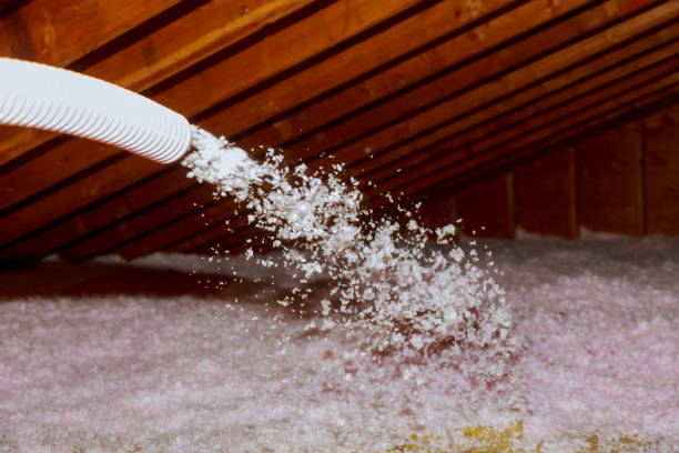 Best Insulation Maintenance and Repair in Lombard, IL